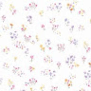 Meet your Posher, Isabella